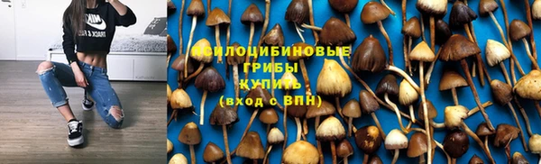 дмт Баксан