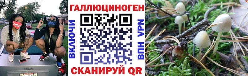 Галлюциногенные грибы мухоморы  хочу наркоту  Барыш 